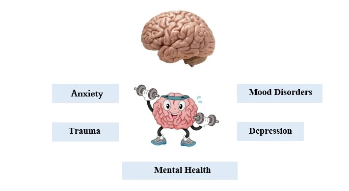 Illustration of a human brain with cartoon brain lifting weights surrounded by labels: Anxiety, Trauma, Mood Disorders, Depression, Mental Health.